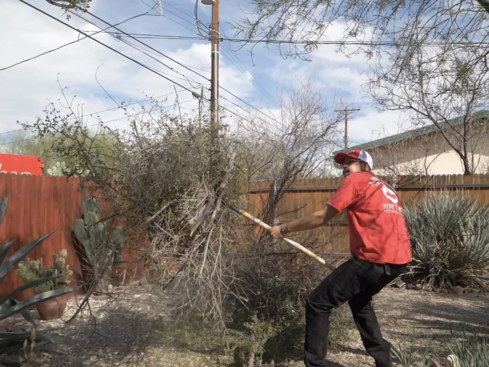 Yard waste removal team clearing green debris in Pescadero, CA